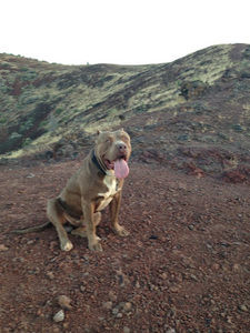 Meet your Posher, Jorge